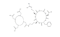 909024-55-1,DOTA-cyclo(RGDfK) acetate           瑞禧生物