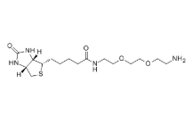 cas:138529-46-1，(+)-Biotin-PEG2-CH2CH2NH2  ，生物素-PEG2-胺