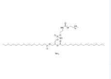 18:0 mPEG1000 PE ammonium，474922-77-5	